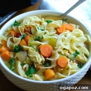 A top-down view of Slow Cooker Chicken Noodle Soup