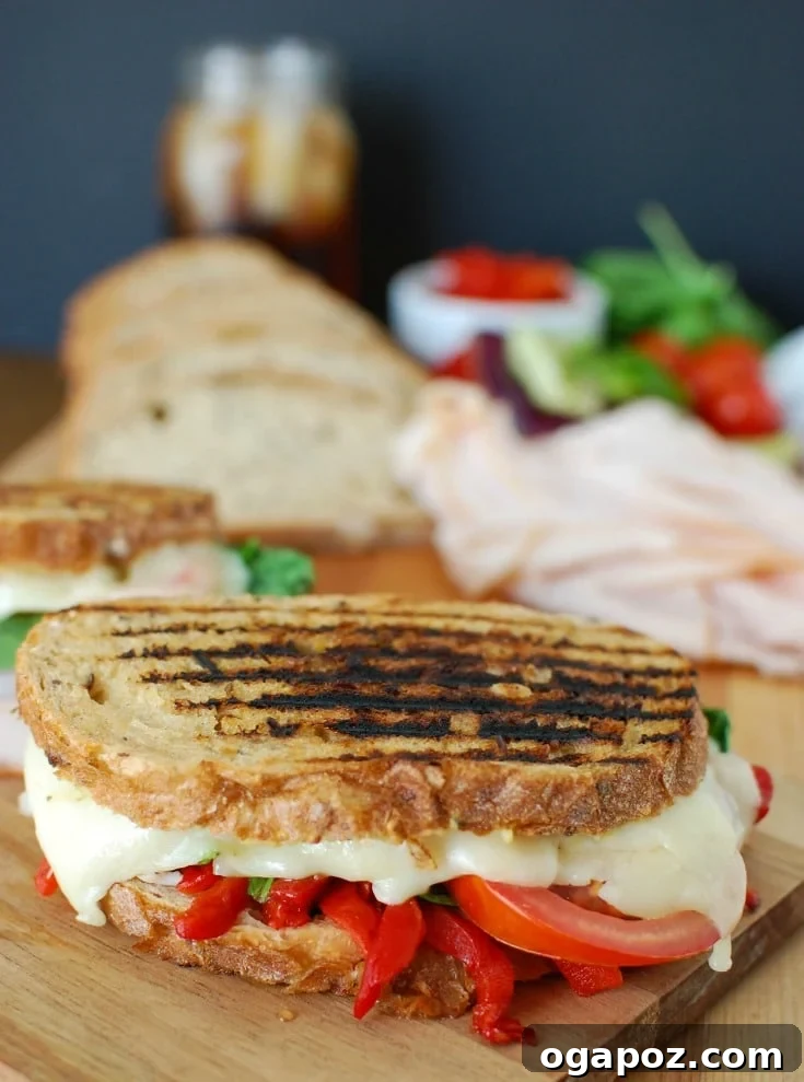 A perfectly grilled Mediterranean Turkey Hummus Panini, golden-brown and filled with layers of smoked turkey, roasted red peppers, spinach, and melted cheese, ready to be enjoyed.