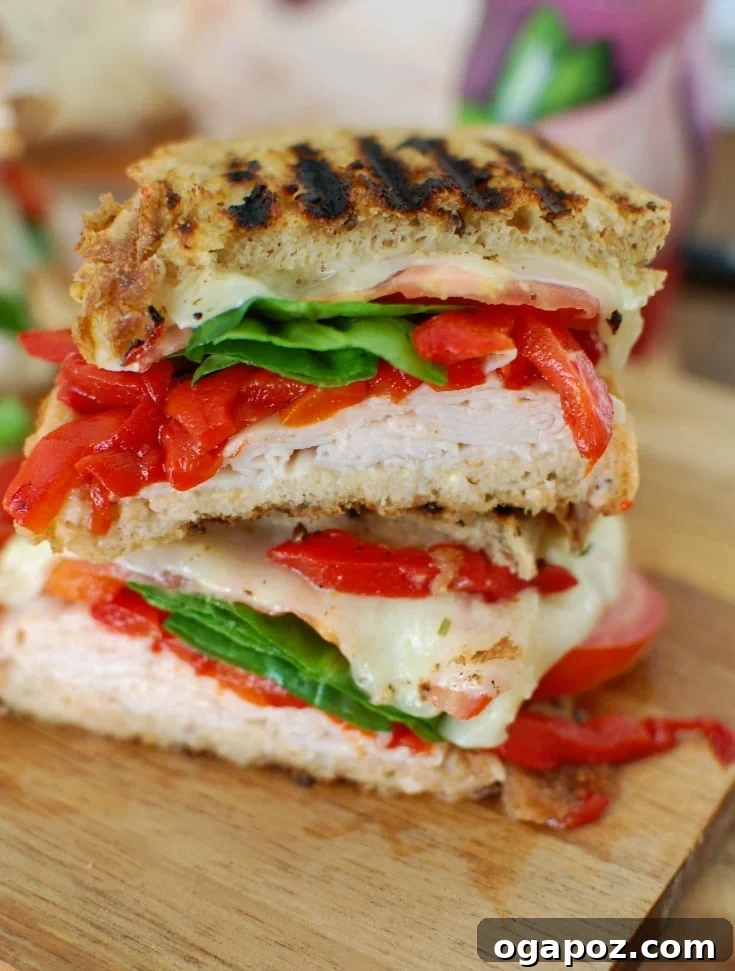 A beautiful arrangement of fresh ingredients for Mediterranean Turkey Hummus Panini, including sliced turkey, vibrant roasted red peppers, green spinach, ripe tomatoes, tender artichoke hearts, and creamy Havarti cheese.