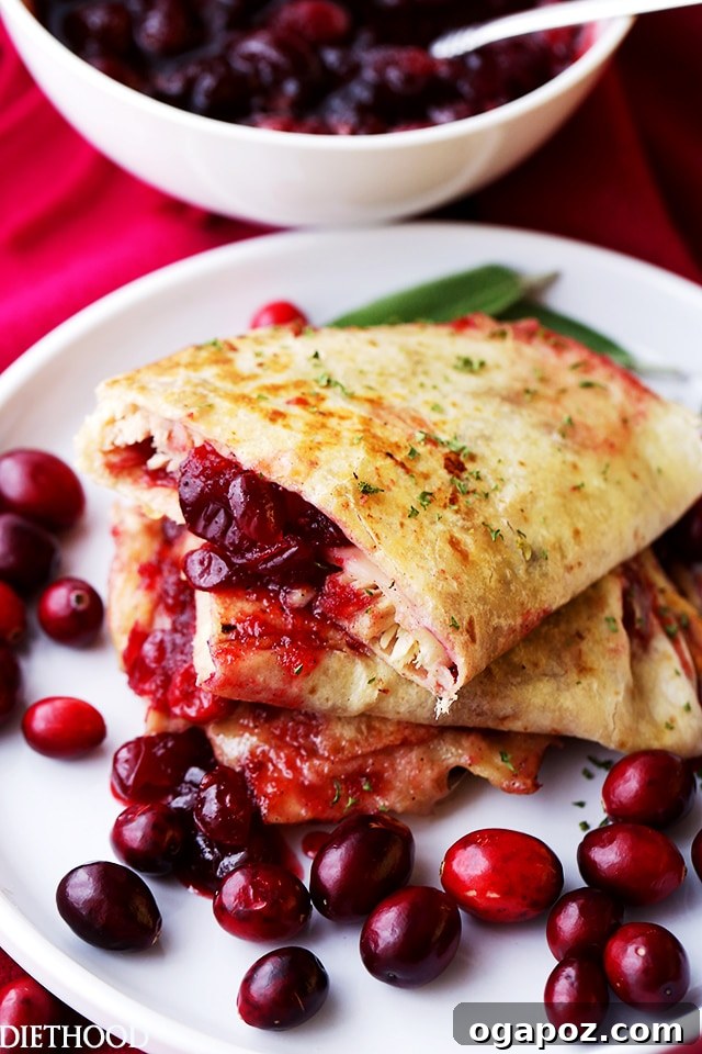 Wholesome Meals in Minutes 14 Cranberry Turkey Quesadillas, golden brown and filled with cheese and turkey.