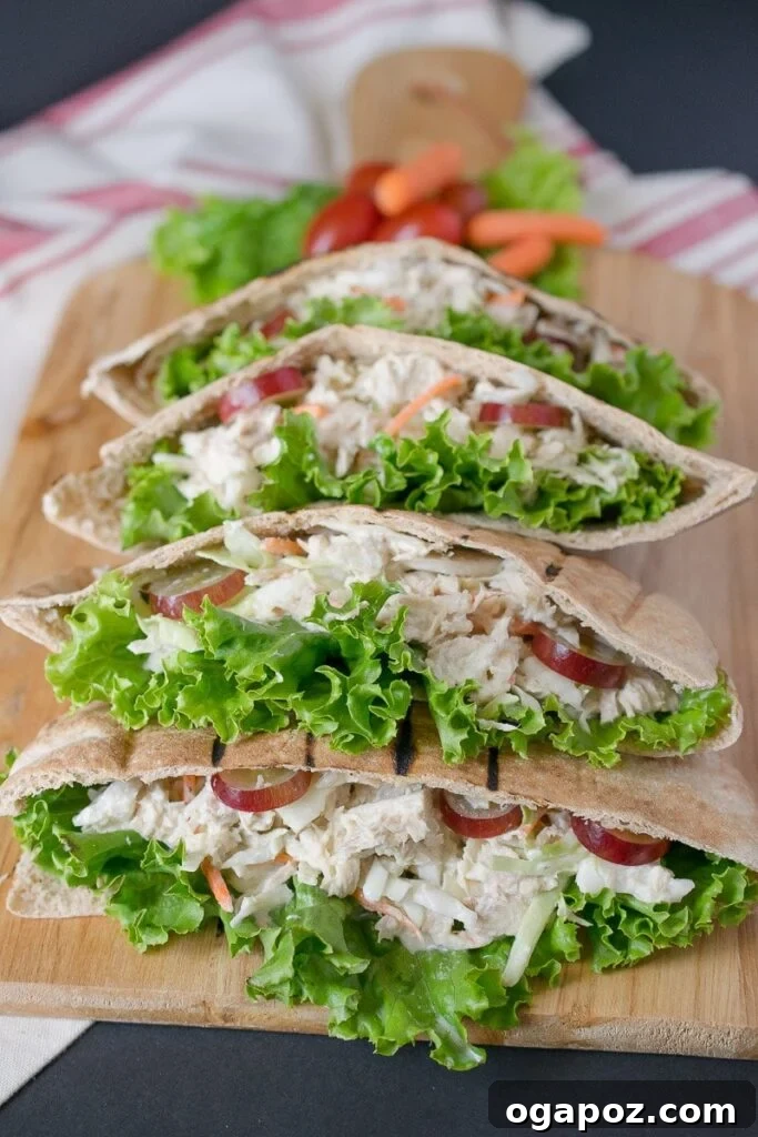 Wholesome Meals in Minutes 32 Tuna Pita Pockets filled with tuna salad and fresh greens.