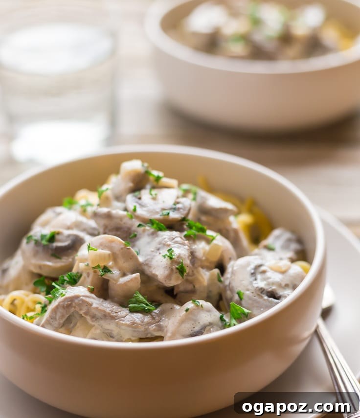Wholesome Meals in Minutes 24 Easy Paleo Beef Stroganoff served in a bowl with zucchini noodles.