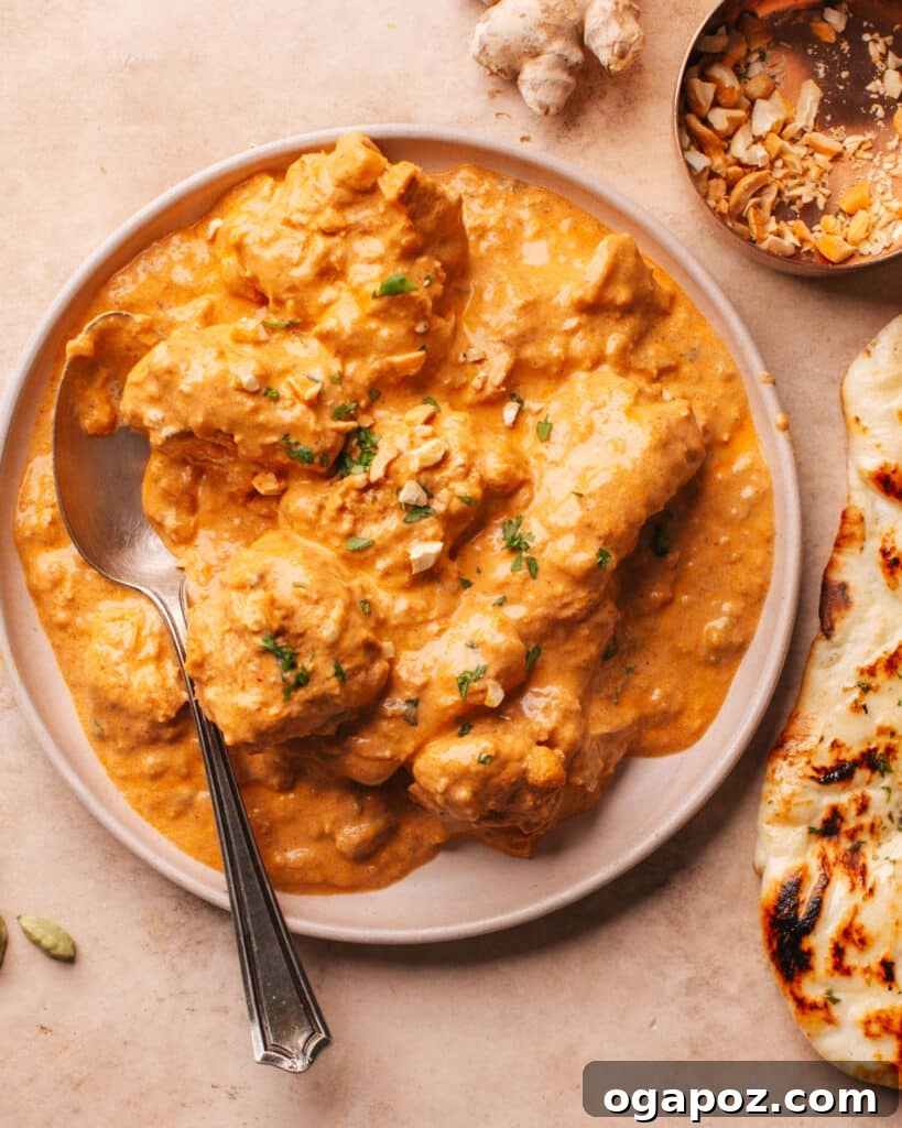 Chicken Korma on a plate.