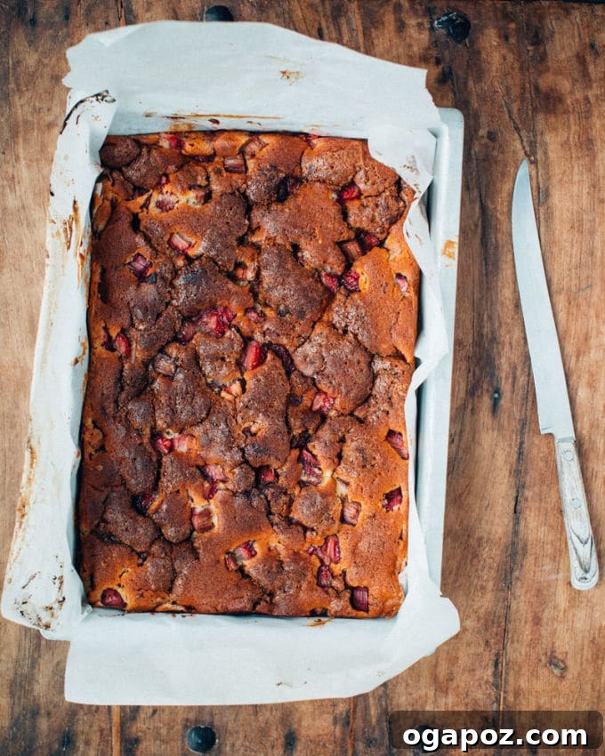Tangy Strawberry Rhubarb Cloud Cake 4 A large bunch of freshly harvested vibrant red rhubarb stalks displayed at a bustling farmer's market stall.