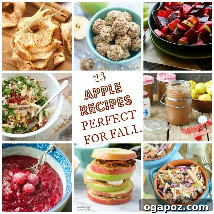 Autumn's Best Apple Dishes 2 A vibrant collage of various apple dishes, showcasing the versatility of apples in fall recipes from sweet to savory.