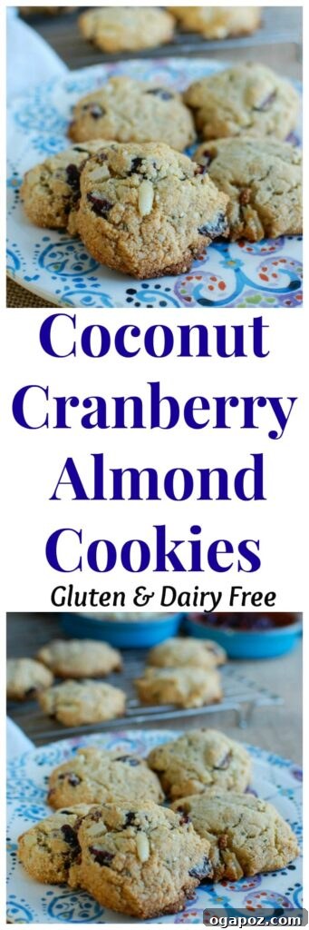 Sweet & Tart Coconut Cranberry Almond Cookies 5 A stack of golden-brown Coconut Cranberry Almond Cookies, perfect for holiday snacking or gifting. These healthy, dairy-free, and gluten-free treats are a delicious alternative for the festive season.