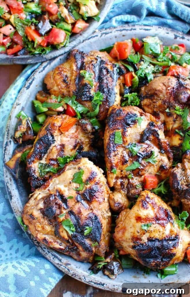 Shish Tawook Grilled Chicken 6 Grilled Shish Tawook garnished with fresh parsley.