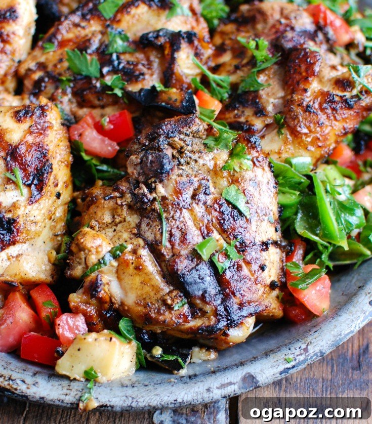 Shish Tawook Grilled Chicken 7 Shish Tawook served with Mediterranean Eggplant Salad and pita bread.