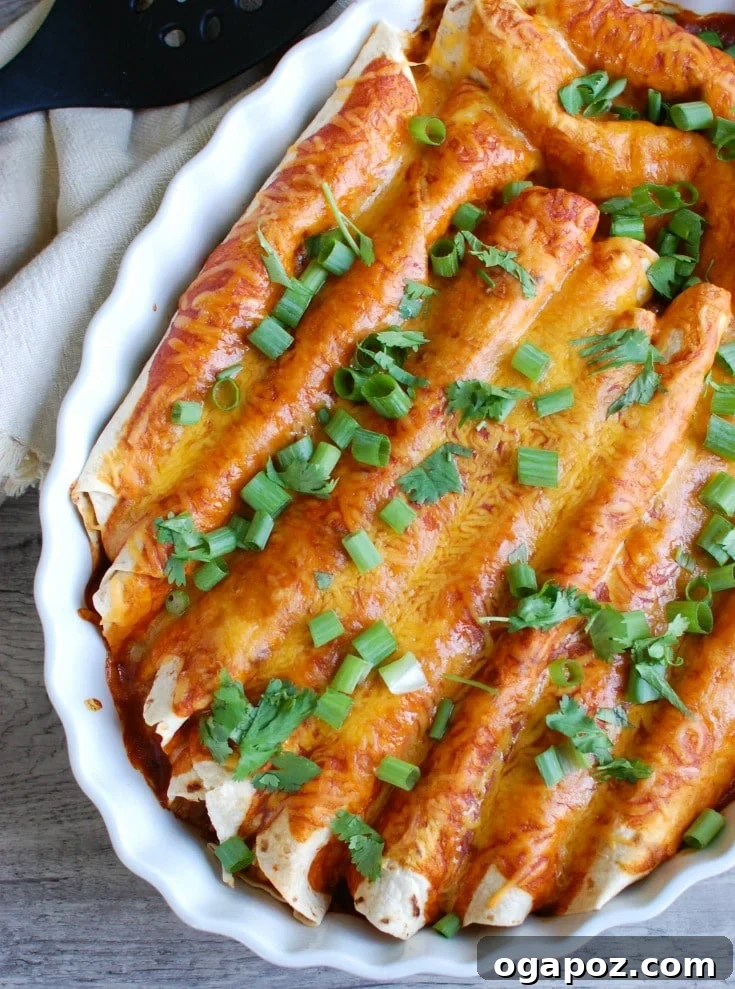 Delicious Vegetarian Black Bean Enchiladas, perfect for a meatless Monday or a flavorful Mexican dinner. Packed with healthy ingredients.