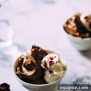 Easy Blender Chocolate Mousse