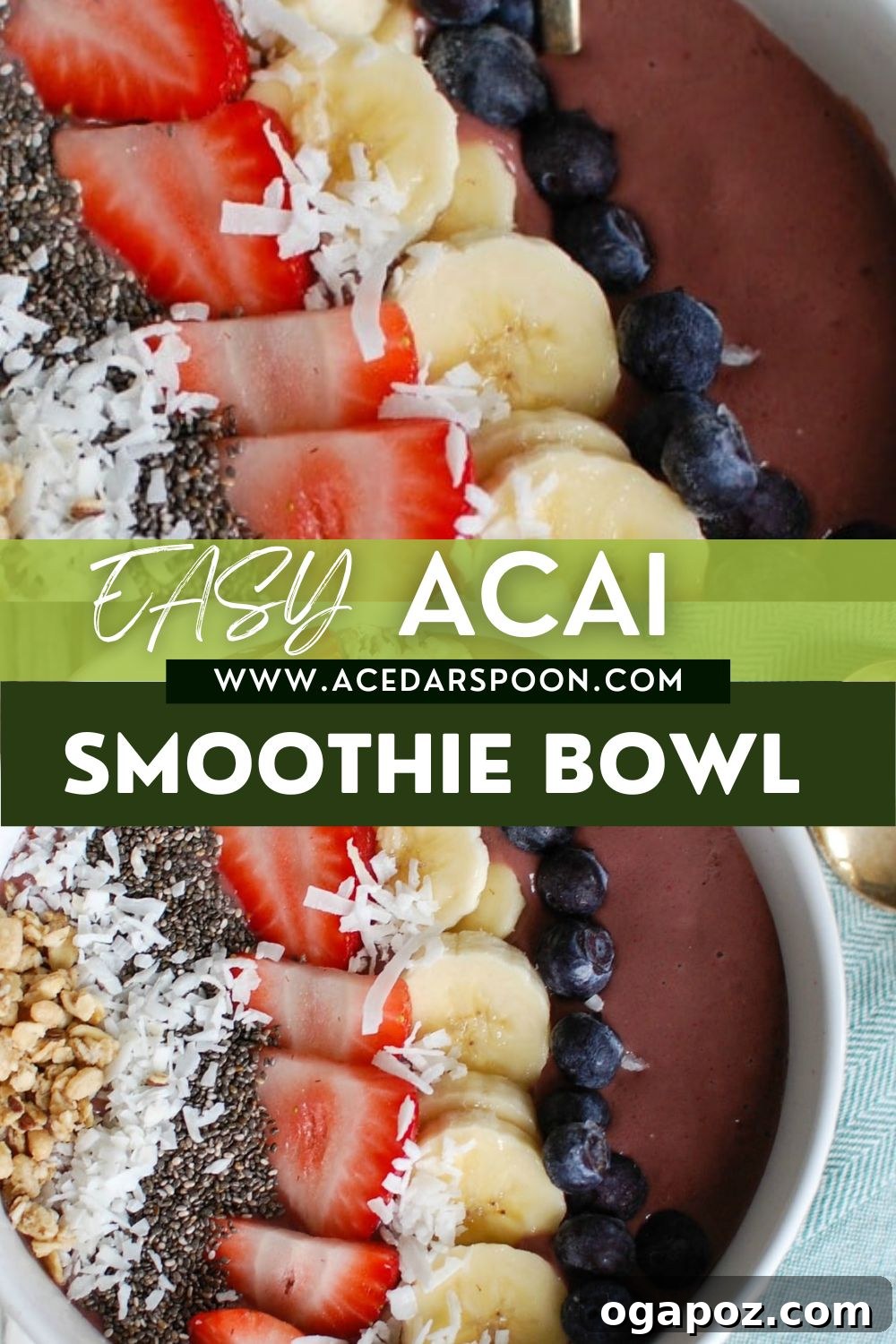 Vibrant Chia Fruit Bowl 13 A Chia Seeds Fruit Bowl with a food blogger's logo.