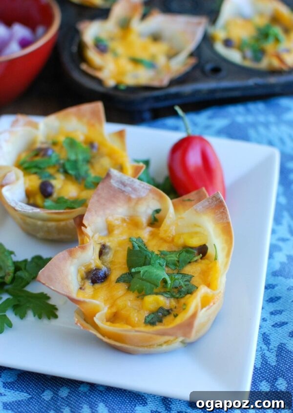 Fiesta Hummus Wonton Cups 2 Crispy Southwestern Hummus Baked Wonton Cups filled with a savory blend of spicy hummus, black beans, corn, and cheese, perfect as a snack or party food.