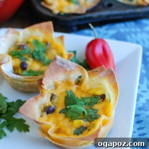 Fiesta Hummus Wonton Cups 6 Southwestern Hummus Baked Wonton Cups are a fun finger food mixing spicy hummus, black beans, corn and cheese and baked into a wonton cup until crispy and warm. These are packed with flavor and work great as a snack or party food!