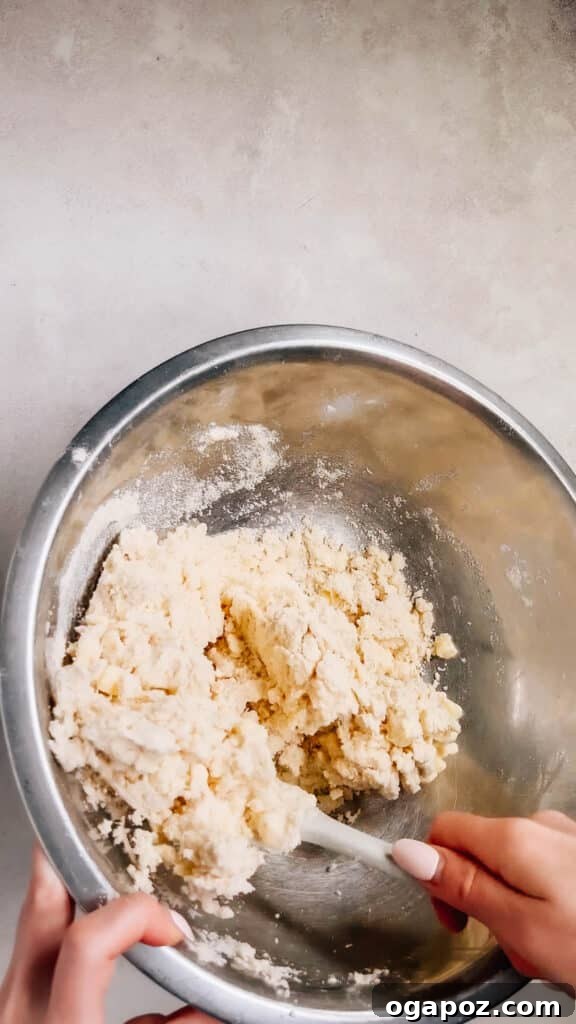 Foolproof Pie Crust You Can Make By Hand 10 Dough mixture appearing clumpy and shaggy after adding ice water.