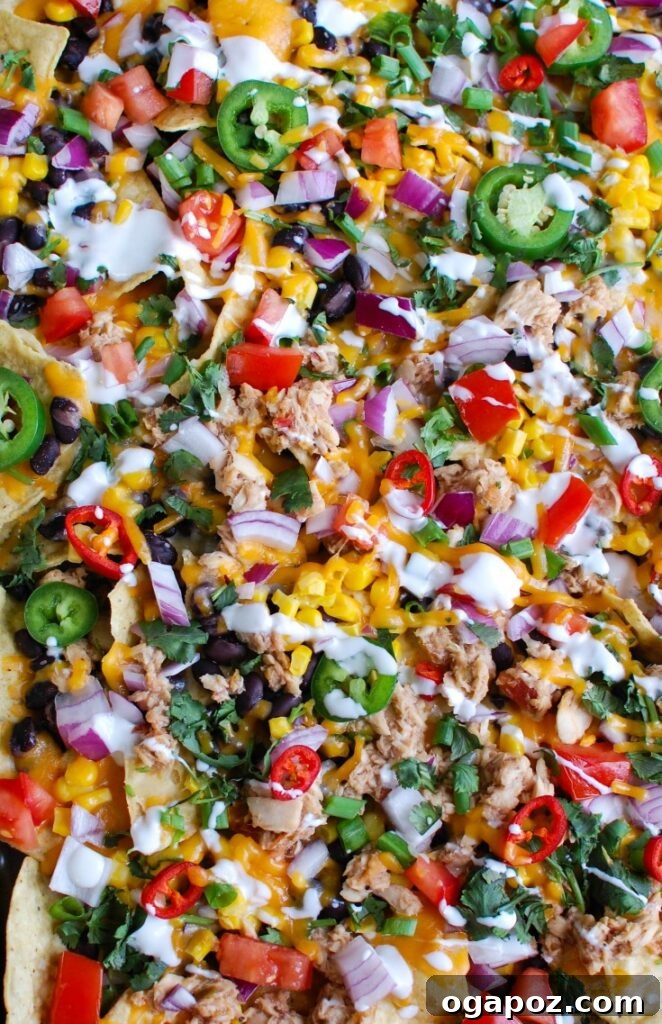 Adobe Salmon Nachos 4 A freshly baked sheet pan of Southwestern Salmon Nachos adorned with colorful fresh toppings including diced tomatoes, red onion, cilantro, green onion, and jalapeños, with a drizzle of sour cream.