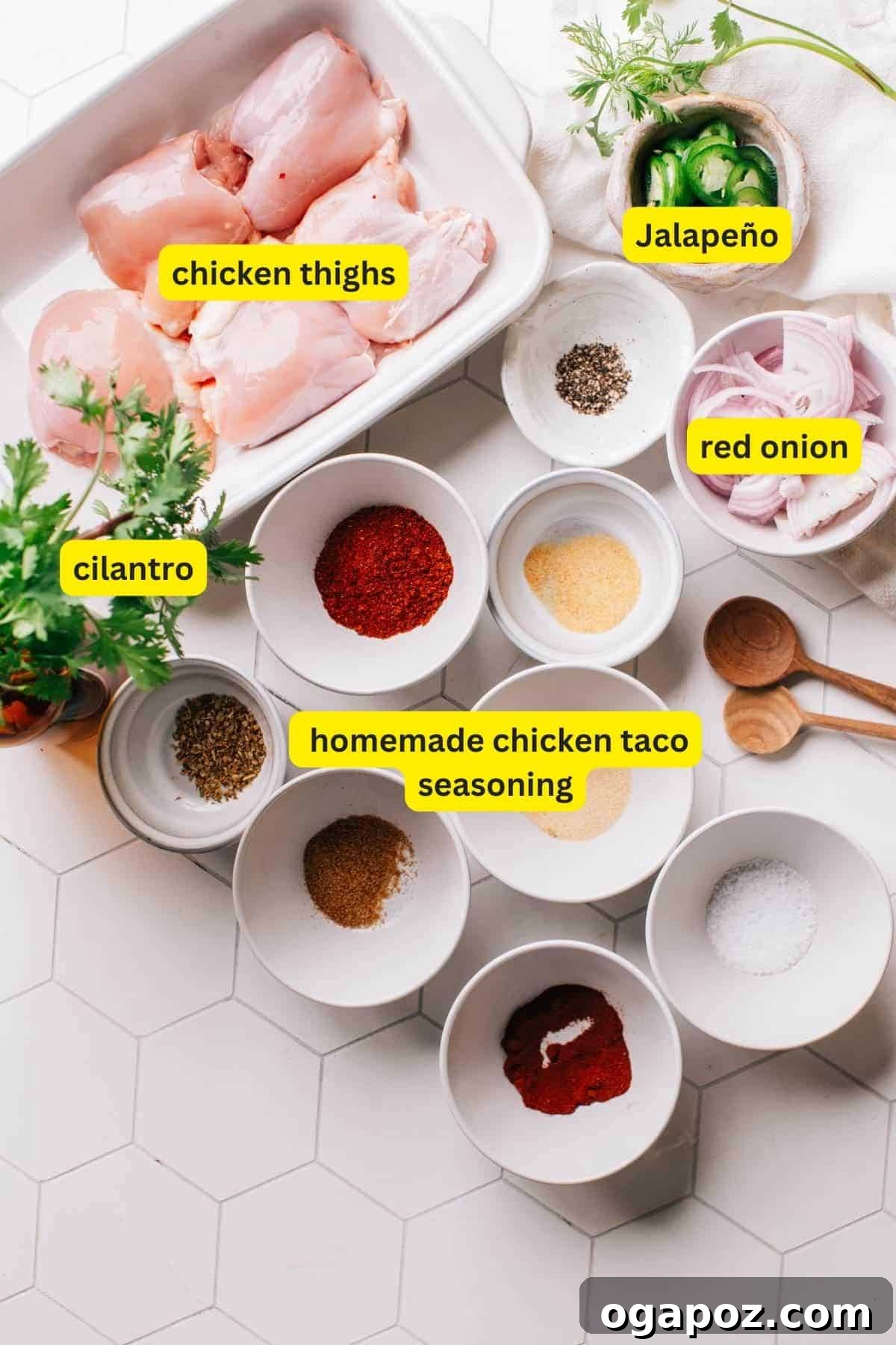Authentic Chicken Street Tacos 4 Ingredients for chicken street tacos on a kitchen countertop including chicken thighs, jalapeno, red onion, cilantro and homemade chicken taco seasoning.