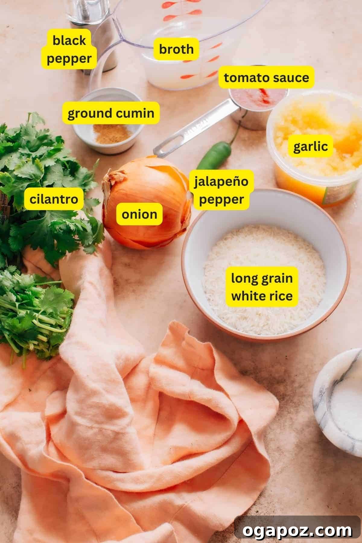 Easy Instant Pot Mexican Rice 3 A selection of fresh ingredients, including onions, garlic, and cilantro, laid out next to a bowl of tomato sauce and spices, ready for cooking.