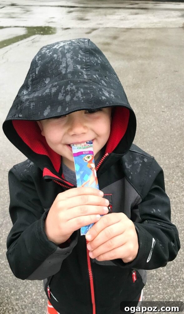 Frozen Greek Yogurt Fruit Gems 5 Another image of a child enjoying a healthy snack, emphasizing the importance of nutritious food for energy during activities.