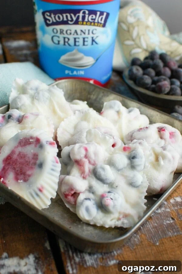 Frozen Greek Yogurt Fruit Gems 8 A close-up of Frozen Greek Yogurt Fruit Bites, showcasing the vibrant fruit and creamy texture, making them an appealing snack for all ages during warm weather.