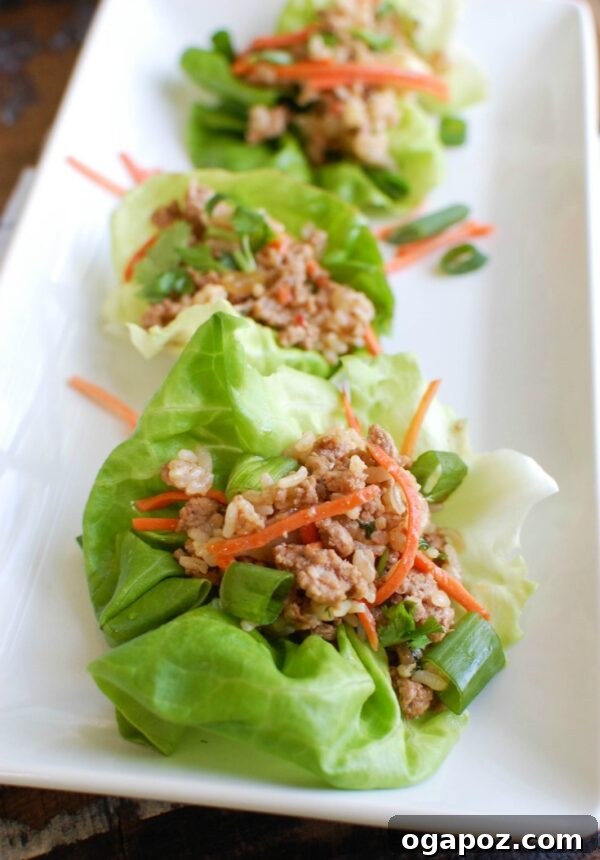 Umami-Packed Asian Pork Lettuce Wraps 2 Flavorful Asian Pork Lettuce Wraps served in crisp bibb lettuce cups, garnished with fresh cilantro and matchstick carrots.
