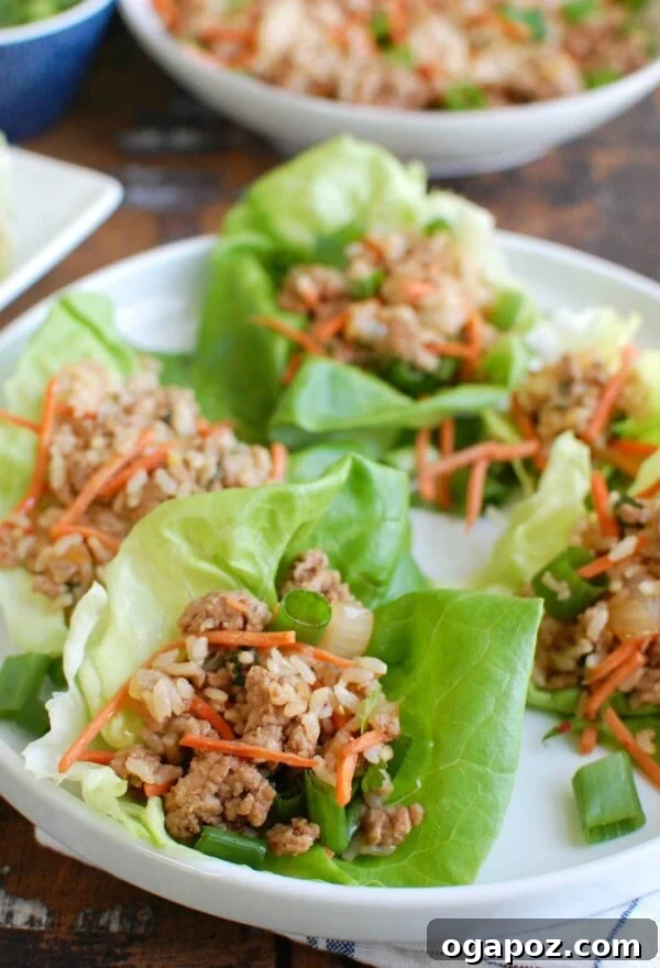 Umami-Packed Asian Pork Lettuce Wraps 4 A plate of Asian Pork Lettuce Wraps ready to be served, highlighting the fresh ingredients.
