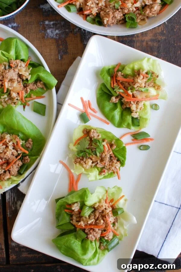 Umami-Packed Asian Pork Lettuce Wraps 5 Ingredients for Asian Pork Lettuce Wraps laid out before cooking.