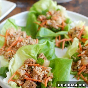Asian Pork Lettuce Wraps are packed with your favorite Asian flavors and paired with ground pork, topped with cilantro and matchstick carrots and served in soft bibb lettuce wraps. These are light and the perfect easy meal!
