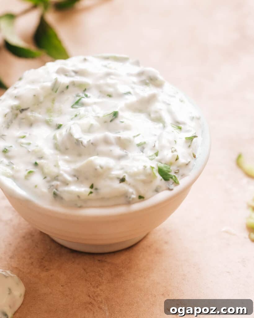 Refreshing Indian Raita: Simple Yogurt Sauce Recipe 5 A close-up of Indian Yogurt Sauce (Raita) in a white ceramic bowl, garnished with a sprig of mint and a few cucumber slices, against a rustic wooden background.