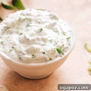 Refreshing Indian Raita: Simple Yogurt Sauce Recipe 7 Indian Yogurt Sauce