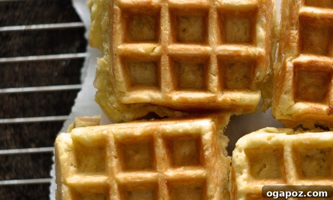 Caramelized Belgian Waffle Bliss 3 Close-up of a Liege waffle showing its dense texture and visible pearl sugar.