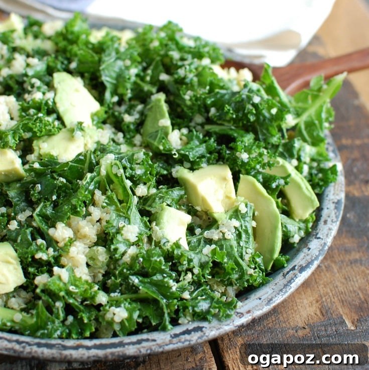Vibrant Avocado Kale Quinoa Bowl 3 Close-up of tender, massaged kale leaves mixed with fluffy quinoa, ready for avocado in the Avocado Kale Quinoa Salad.
