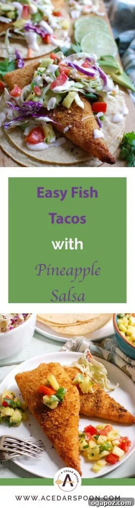 Tropical Fish Tacos with Sweet Heat Pineapple Salsa 6 A beautifully plated single Easy Fish Taco, demonstrating the delicious layering of ingredients for a healthy meal.
