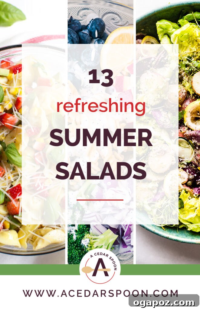 Beat the Heat: 13 Vibrant Summer Salads 2 A vibrant assortment of colorful summer salads on a picnic table, perfect for a refreshing meal outdoors.