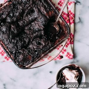 Delicious Chocolate Pudding Cake