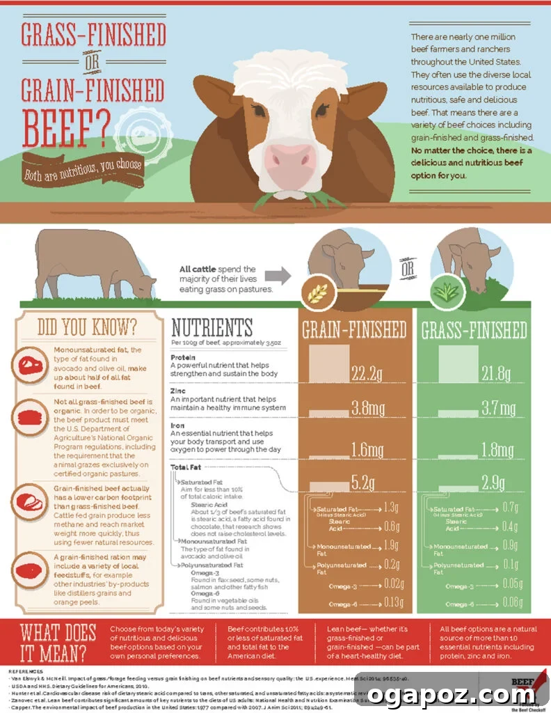 Perfectly Grilled Beef: 9 Expert Techniques 7 An informative infographic detailing the differences and nutritional comparisons between grass-fed and grain-fed beef.