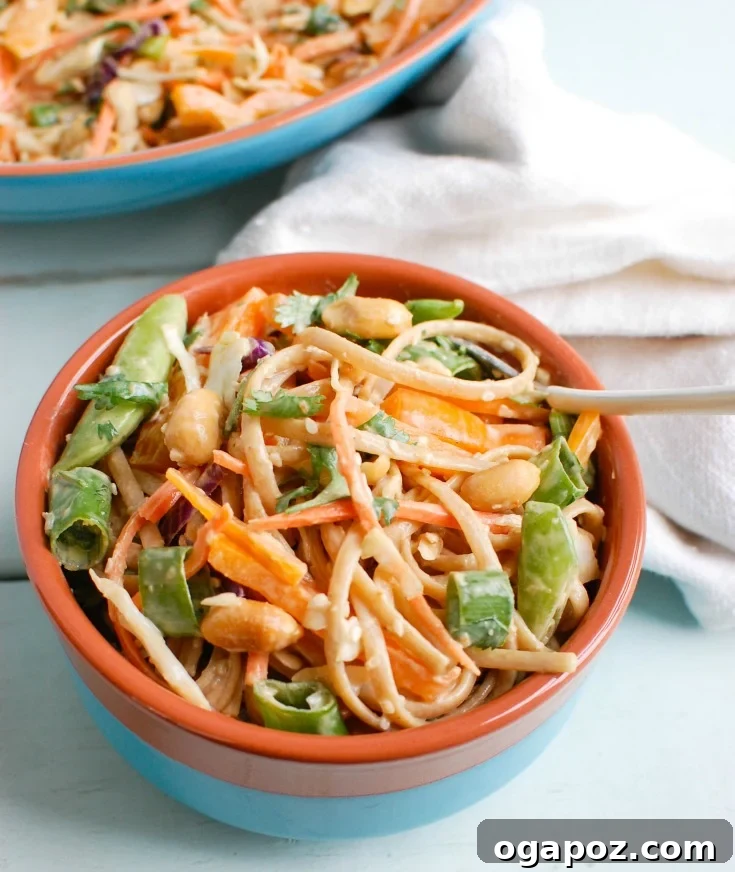 Vibrant Asian Noodle Salad with Zesty Peanut Sauce 4 Overhead view of Asian Vegetable Noodle Salad with Spicy Peanut Sauce, presented in a rustic bowl with chopsticks, ready to be served.