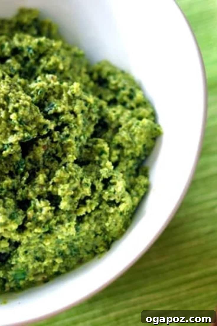 Wondering how to make delicious Homemade Basil Pesto? Grab my simple easy basil pesto recipe right here, girlfriend!