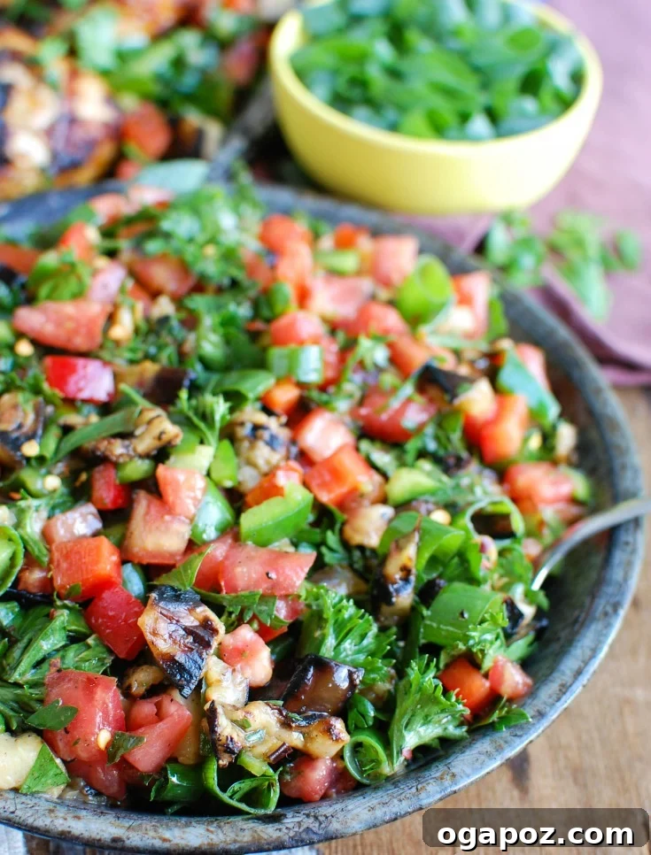 Vibrant Mediterranean Eggplant Medley 2 Vibrant Mediterranean Eggplant Salad on a rustic white dish, garnished with fresh herbs.