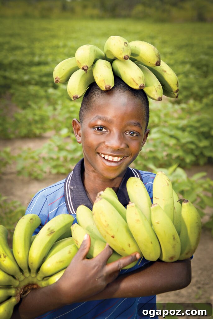 Make an Impact with World Vision and Enter Our Giveaway 3 A person holding a stack of World Vision Gift Catalog items, symbolizing diverse and impactful giving options.