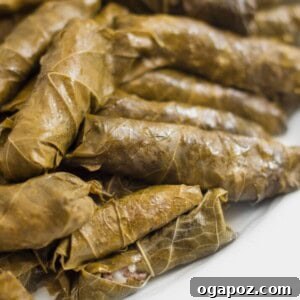 Close-up of freshly cooked Meat Stuffed Grape Leaves arranged in a serving dish.