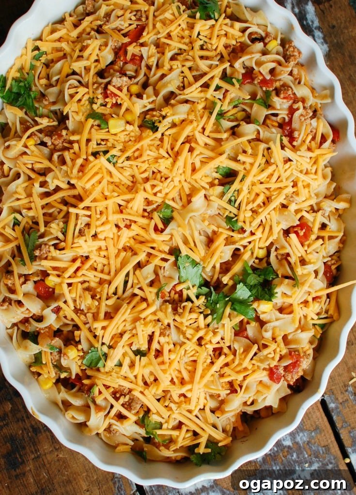 Fiesta Noodle Bake 6 Easy Mexican Noodle Casserole baked to perfection, with bubbling cheese and fresh cilantro on top.