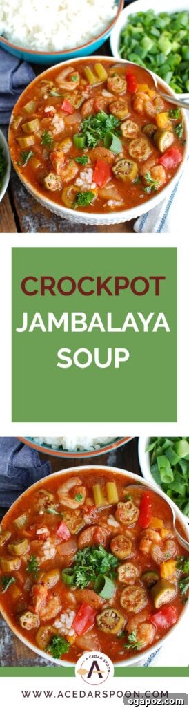 Slow-Cooked Cajun Jambalaya Soup 6 A tall, narrow image displaying the Crock-Pot® Jambalaya Soup with vibrant ingredients, perfect for social media sharing.