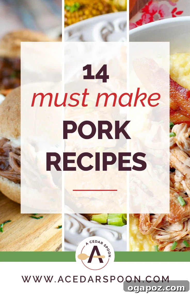 Collection of 14 Must-Make Pork Recipes for easy and flavorful meals