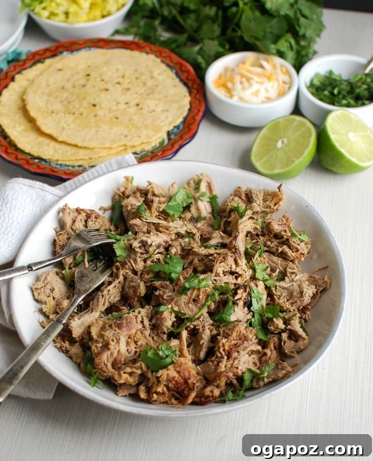 Crispy The Best Slow Cooker Pork Carnitas