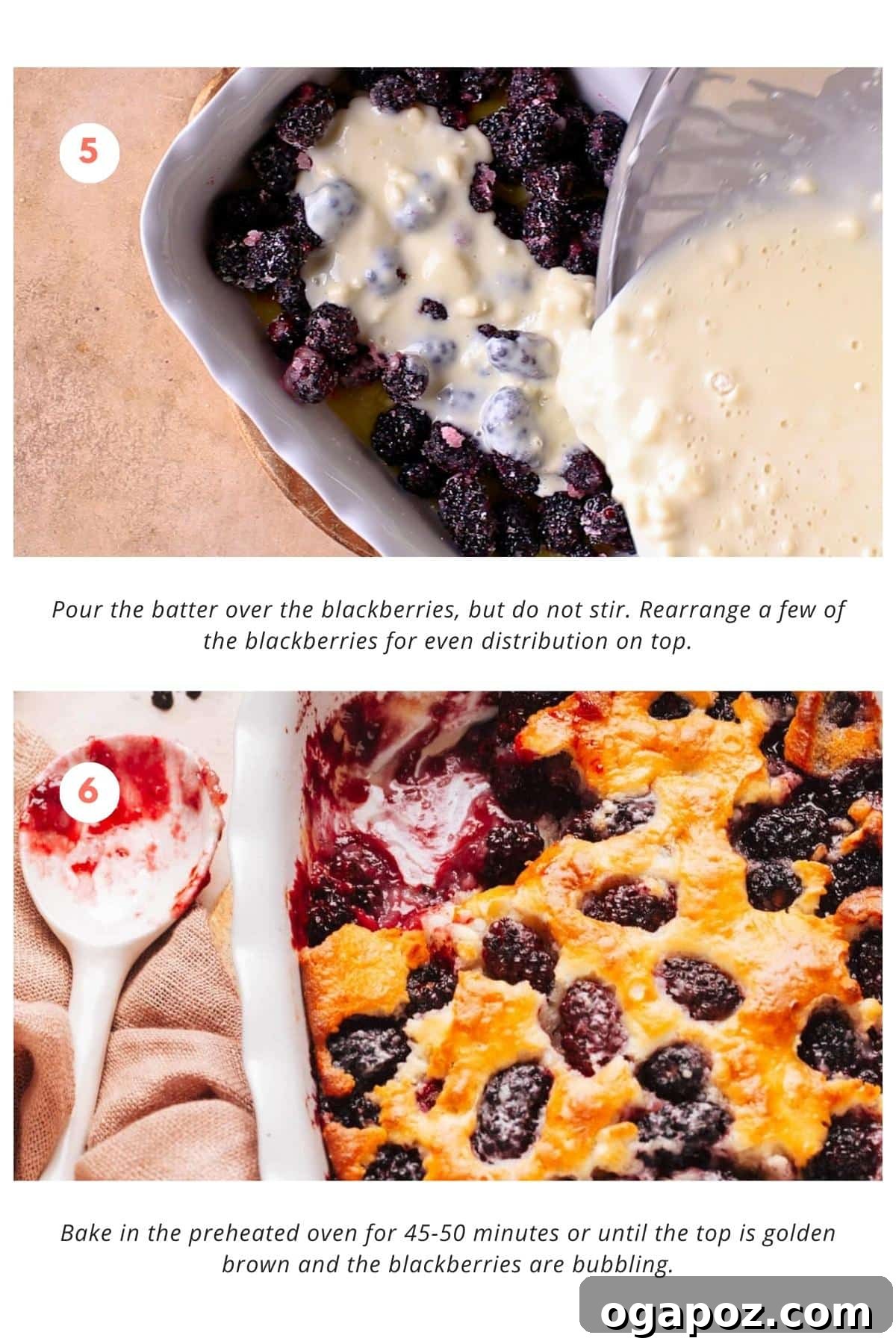 Homestyle Blackberry Cobbler 6 The batter is poured over the blackberries without stirring. A few of the blackberries are rearranged for even distribution on top. The cobbler is then baked in the preheated oven for 45-50 minutes or until the top turns golden brown and the blackberries are bubbling.
