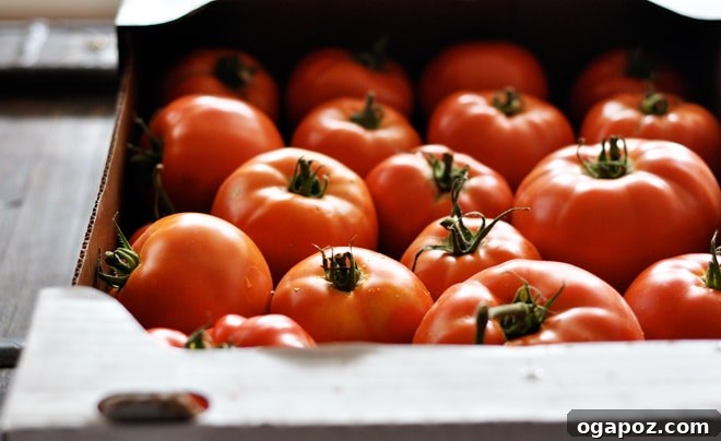 Enjoy Fresh Tomatoes Year Round 3 img 2544 2