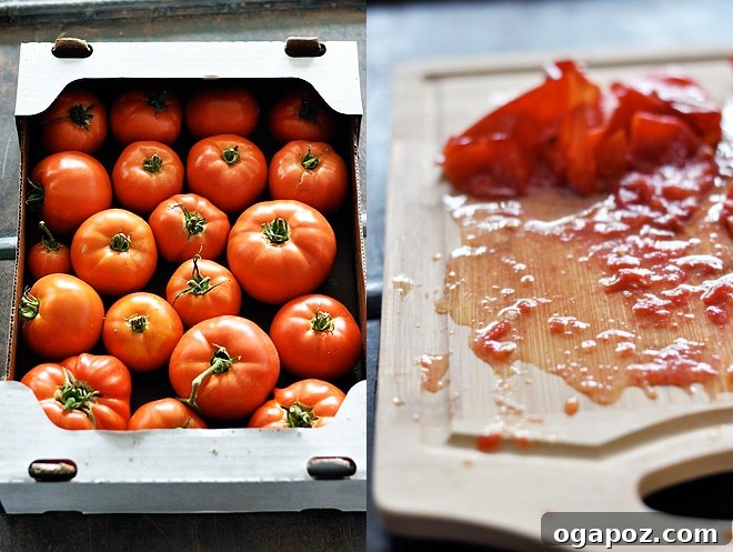 Enjoy Fresh Tomatoes Year Round 5 img 2544 4