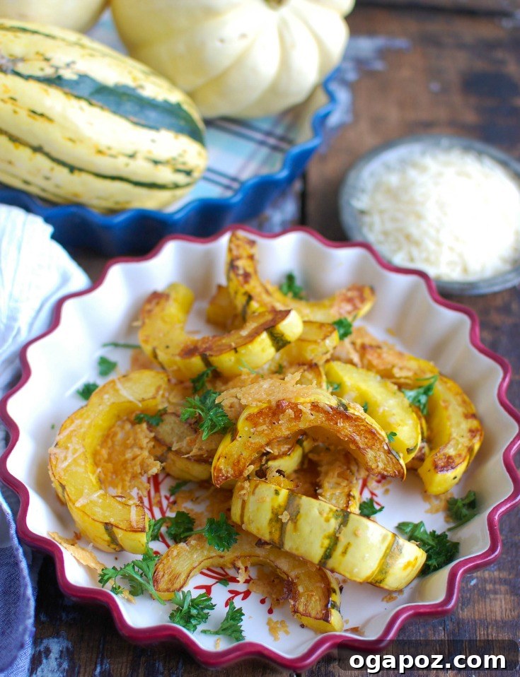 Parmesan Crusted Delicata Squash 4 Expertly roasted Parmesan Delicata Squash slices, golden and tender.