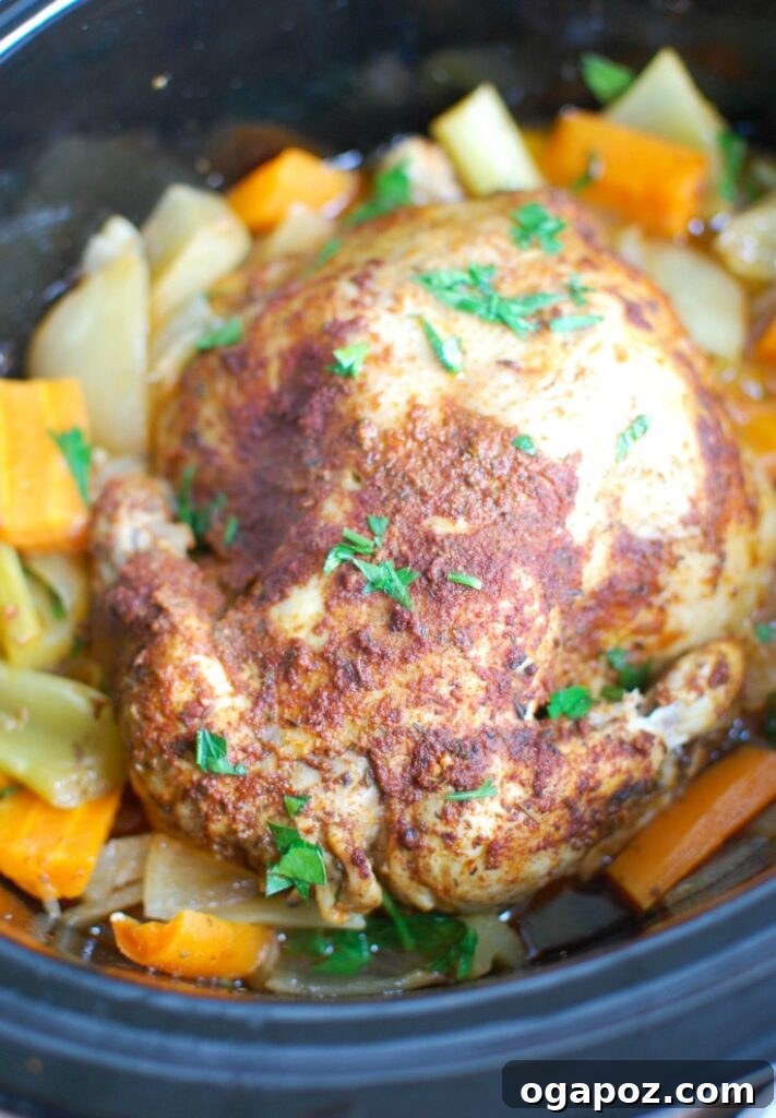 The Slow Cooker Mediterranean Whole Chicken after cooking, showcasing its tender, fall-off-the-bone texture and rich golden-brown exterior.