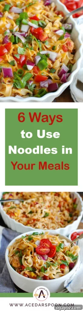 6 Noodle Hacks to Elevate Your Weekly Meals 6 No Yolks Noodles product packaging.